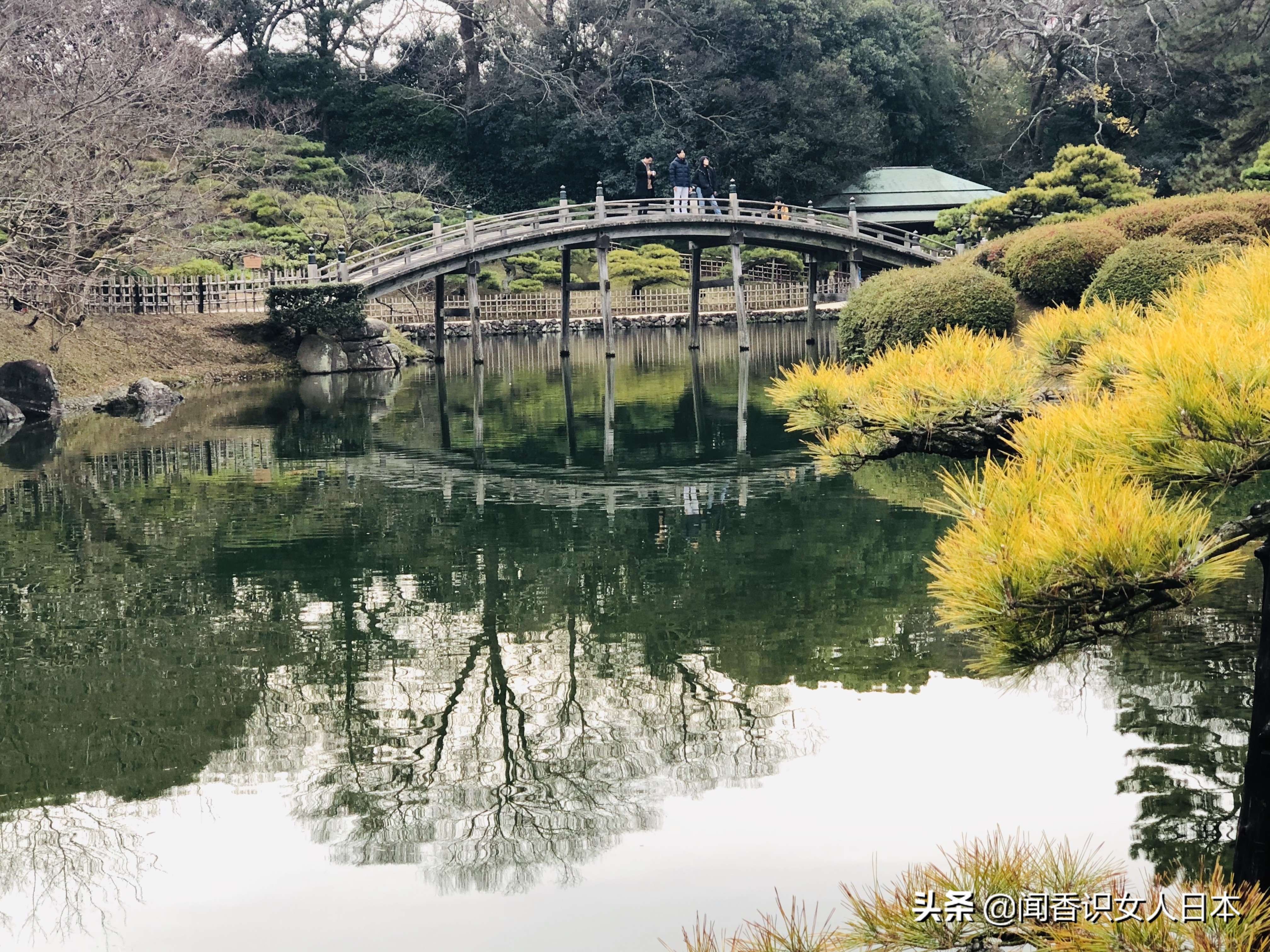 日本的米其林三星餐厅,日本米其林三星参观