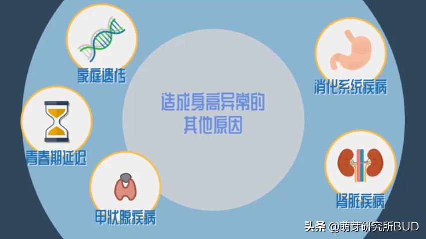 八个月宝宝不长高是发育迟缓吗,儿童身高发育迟缓吃什么能长高