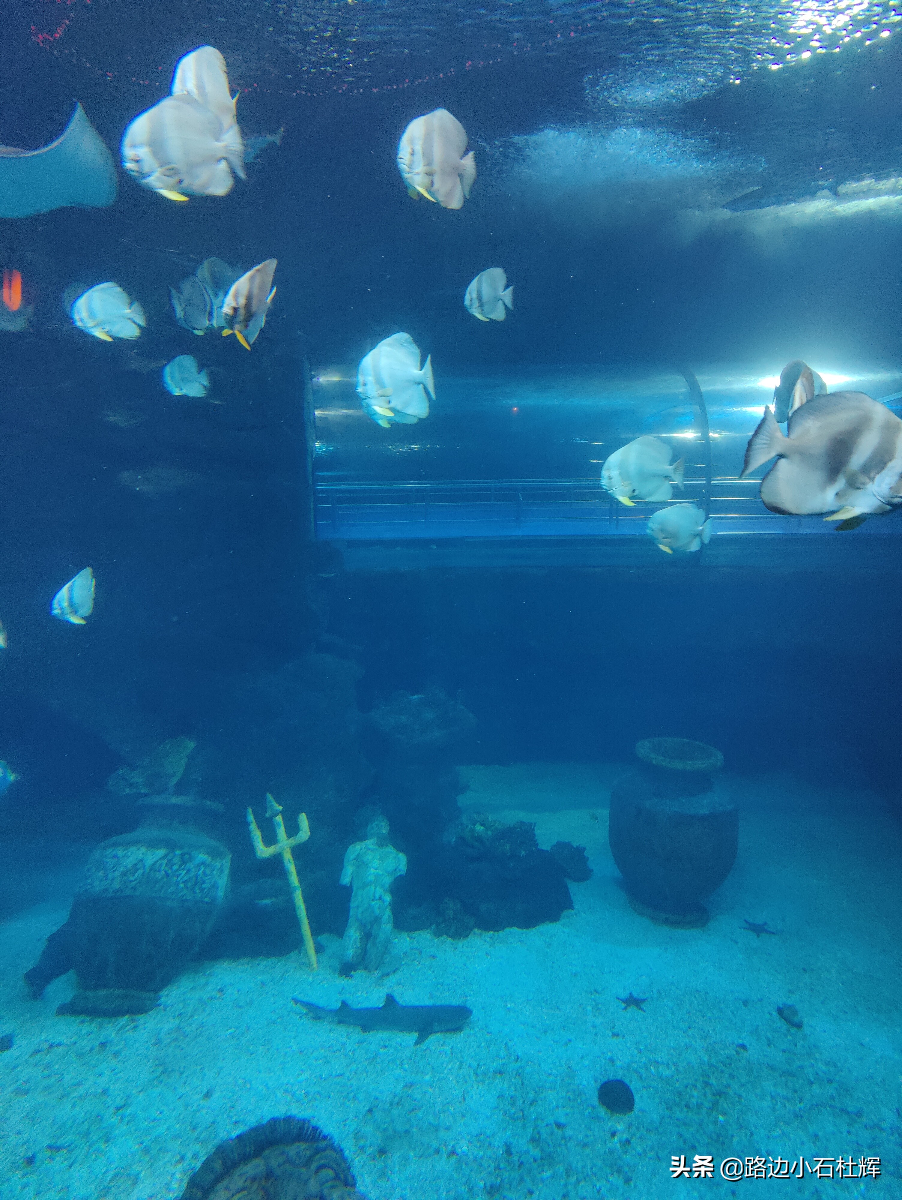 北京海洋馆海底世界和动物园攻略,游北京动物园海洋馆