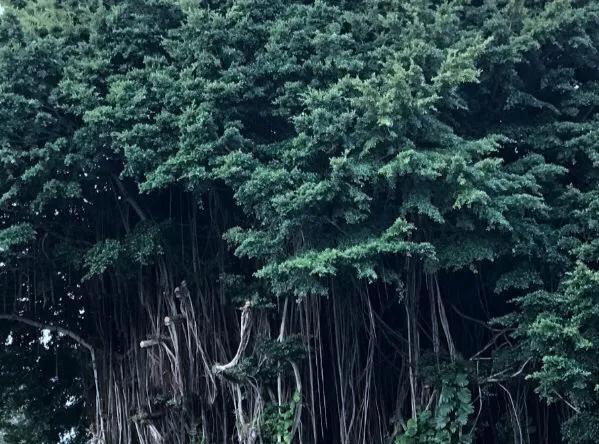 中国军队击溃日军最大的战役,中国打日军最惨烈的一战