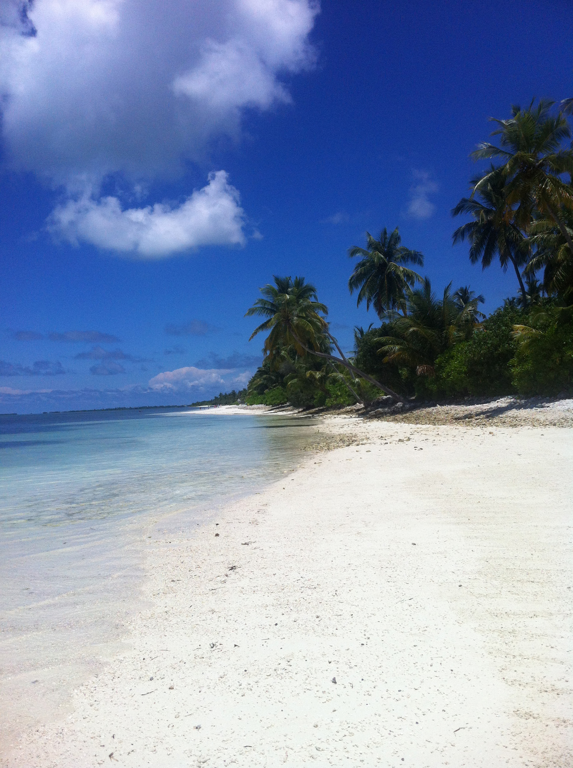 毛里求斯自由行怎么安排,毛里求斯7天攻略