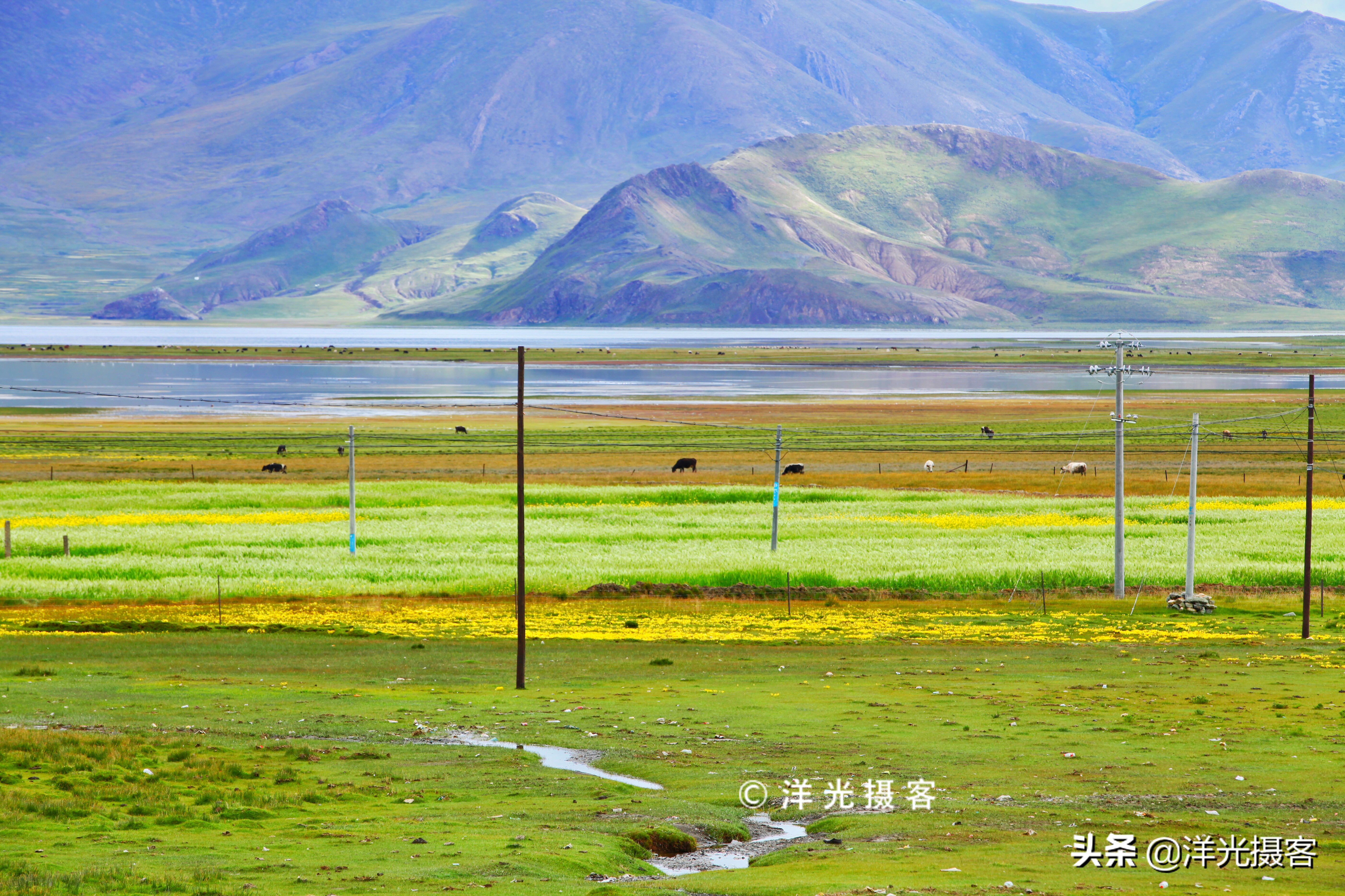 高原圣湖纳木错风景,纳木错醉美圣湖此生必去