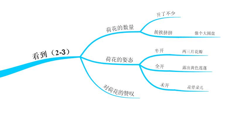 用思维导图学习语文三年级下册《荷花》，仿写《荷花》