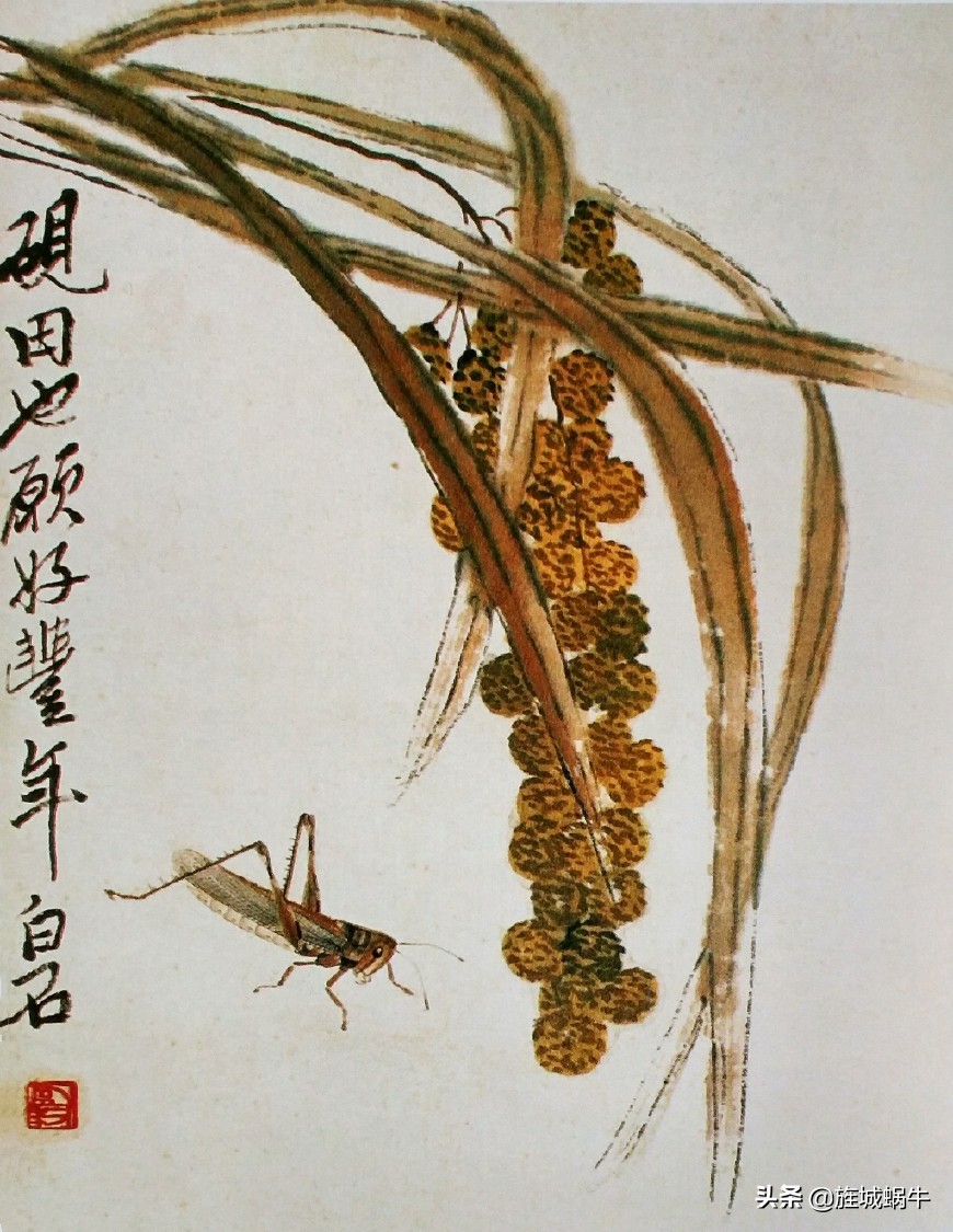 中国画没骨花鸟画的意境,徐崇嗣没骨花鸟画