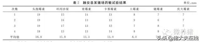 猪链球菌感染病例诊断及防治