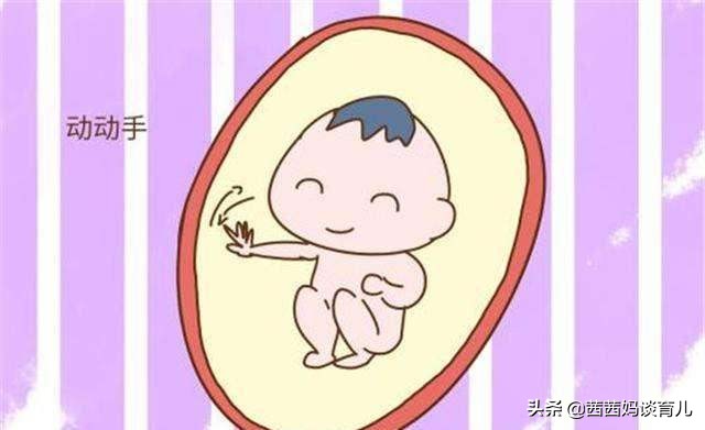 没有胎动怎么数胎动,数胎动时蠕动算胎动吗