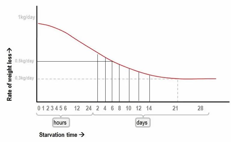 一天瘦一斤最快的方法,体重一天瘦一斤正常吗