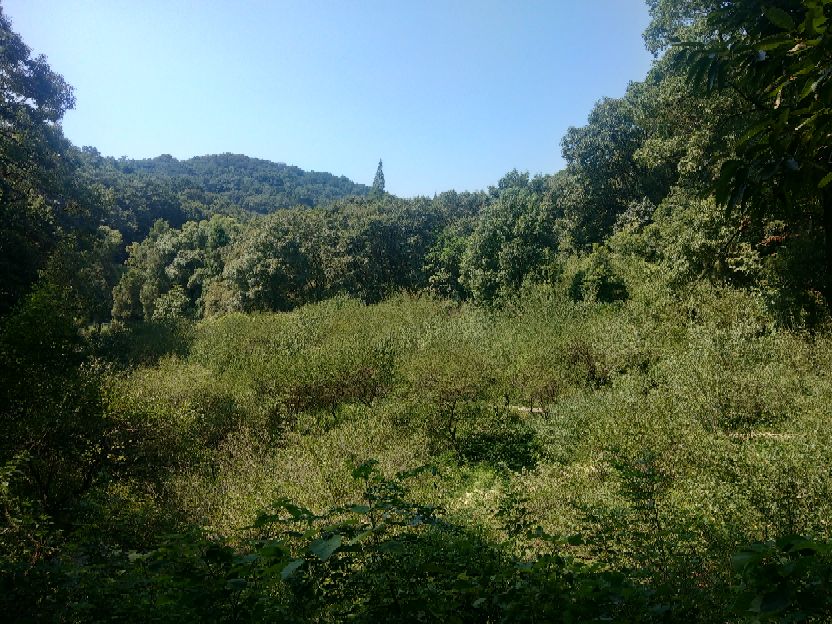 襄阳人苞谷味在臆想中的古隆中卧龙岗居于何地?