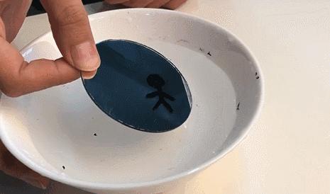 乐趣升级，玩法不重复，爆红的Batbunny彩虹盒子二代来啦