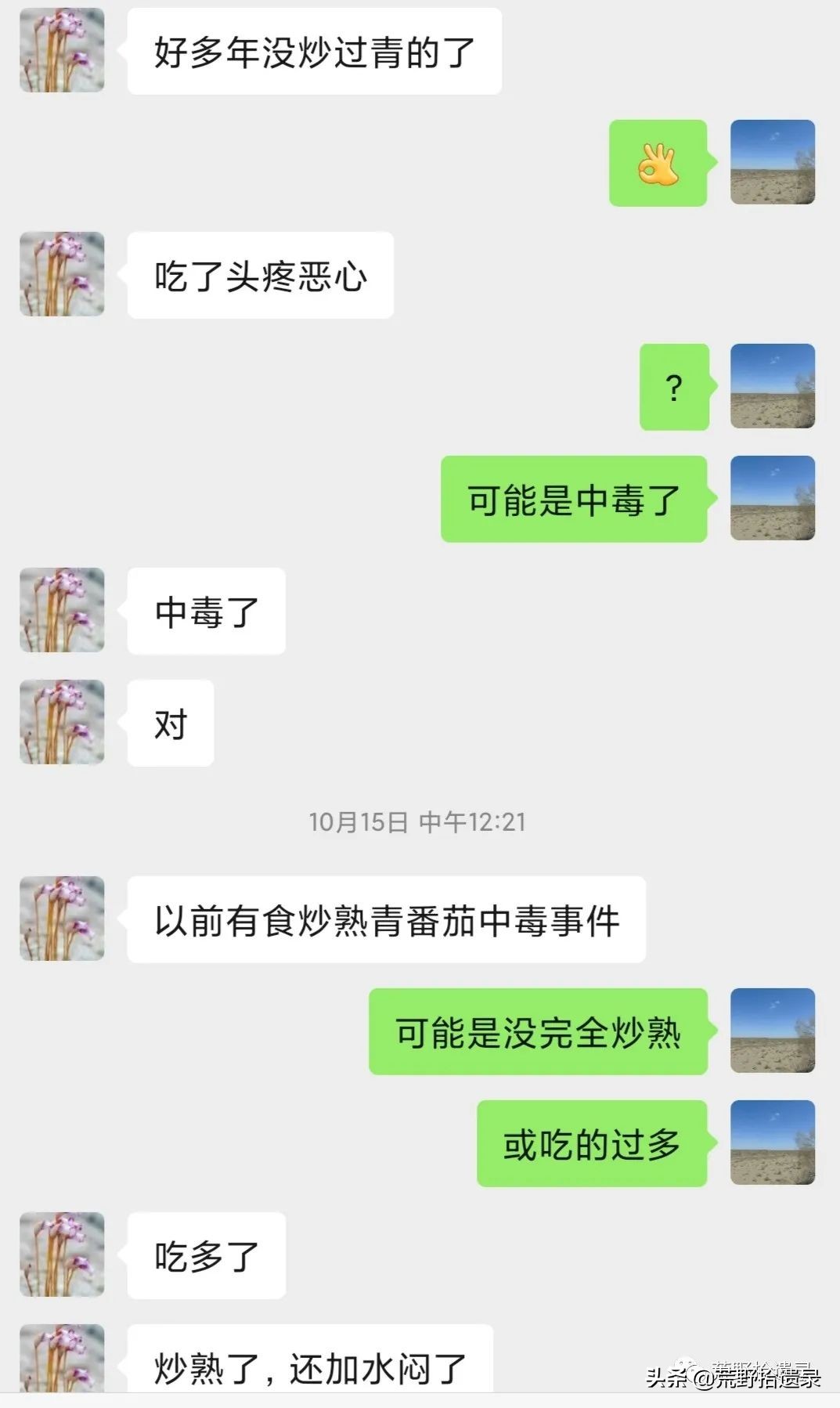 番茄的黑历史,关于番茄的那些事儿