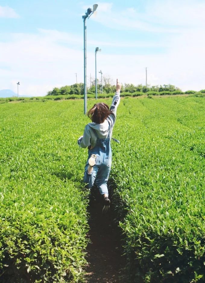 济州岛俩人旅游攻略,济州岛双人跟团旅游费用