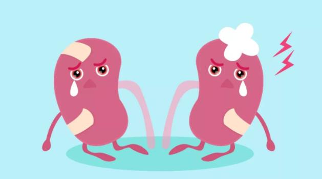 小孩小便有泡沫是不是肾有问题,尿尿小泡沫一直不消失是肾问题吗