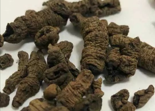 中药炮制的常识以及炮制的方法,中药炮制蜜炙的作用