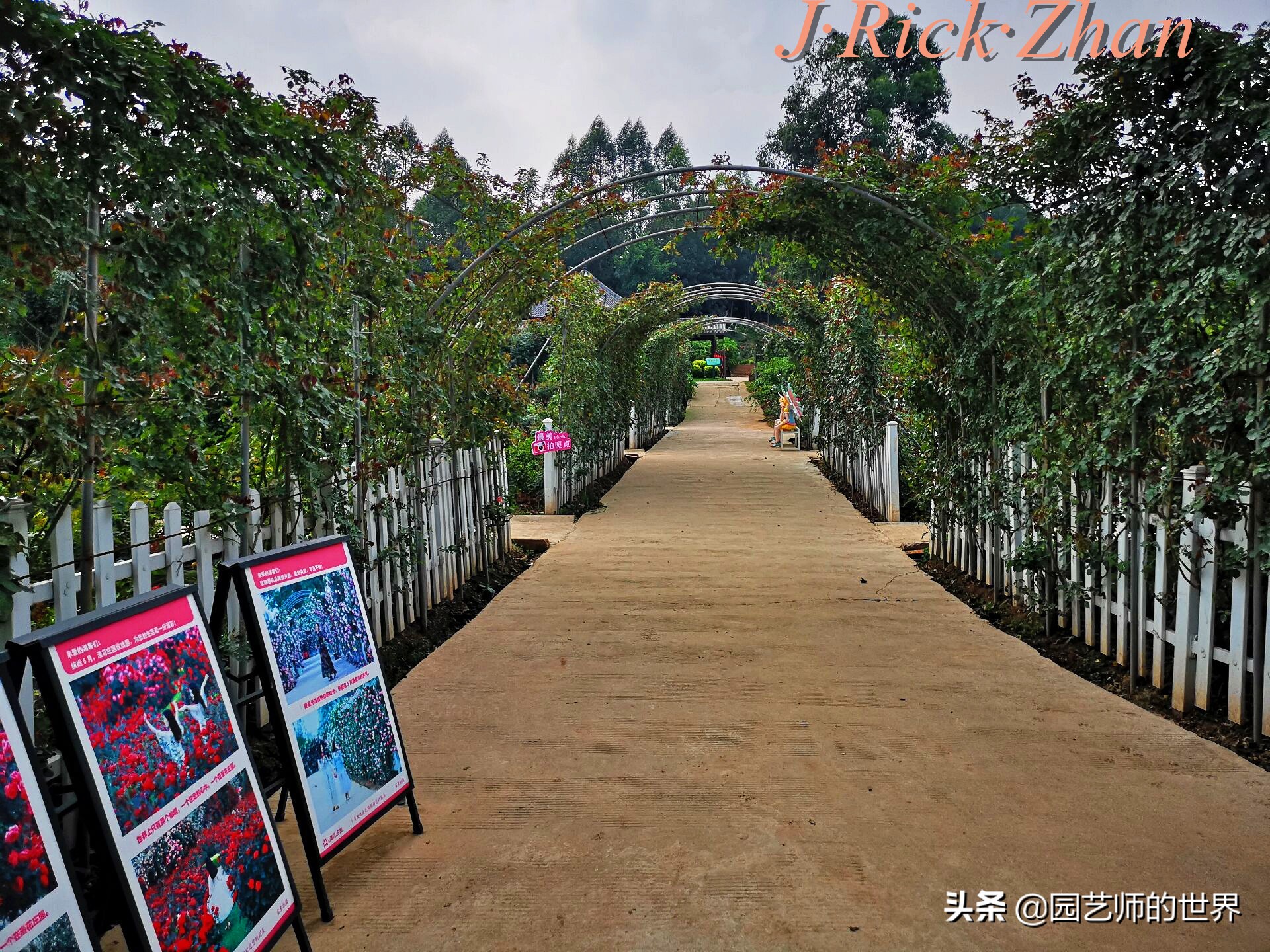 值得参观的国内优秀花园之品鉴（上篇）