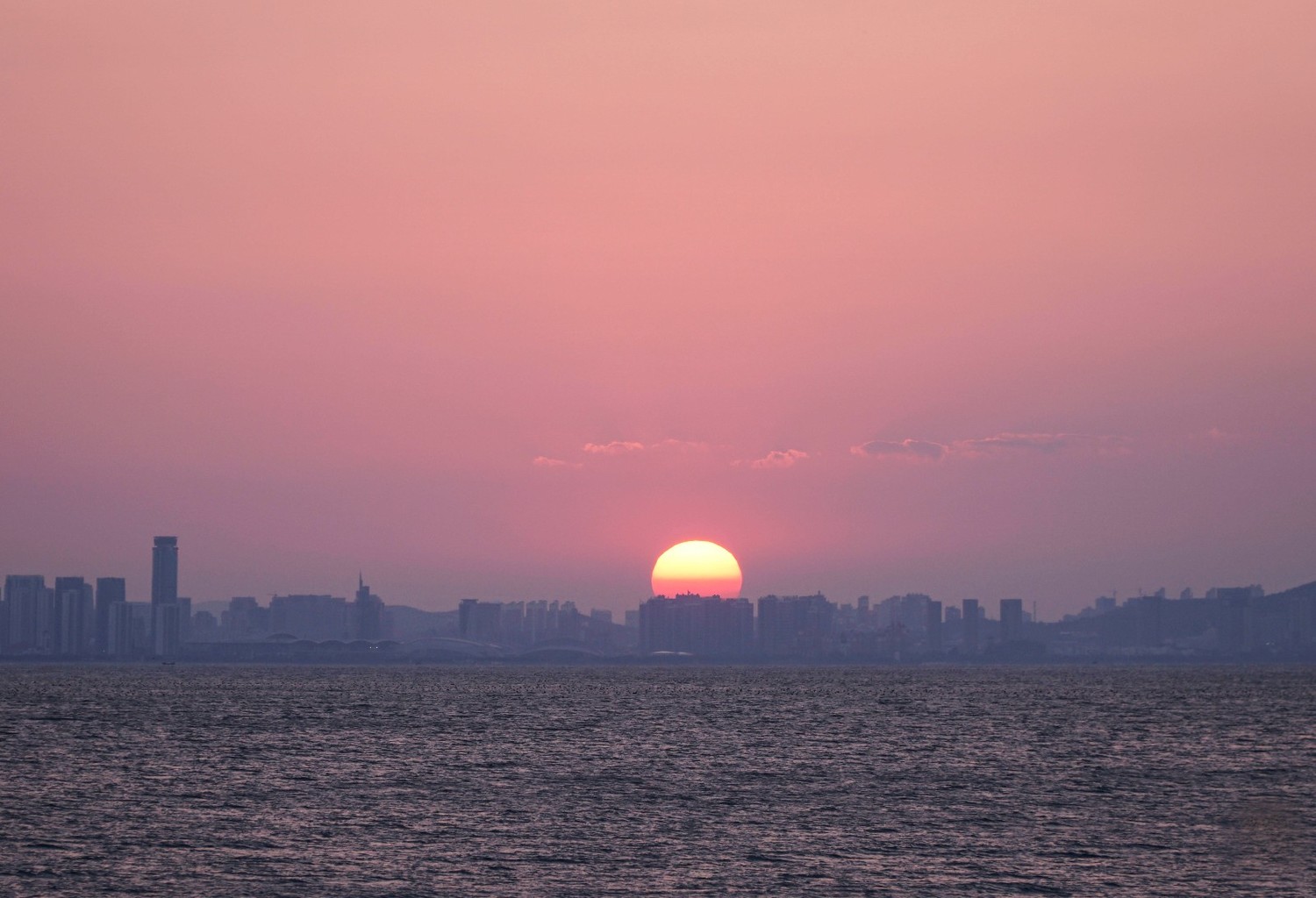 养马岛海驴岛,2020山东海驴岛旅游攻略