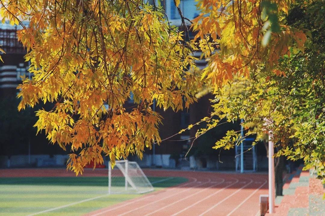 天津市耀华中学冯耀忠,天津市耀华中学招聘
