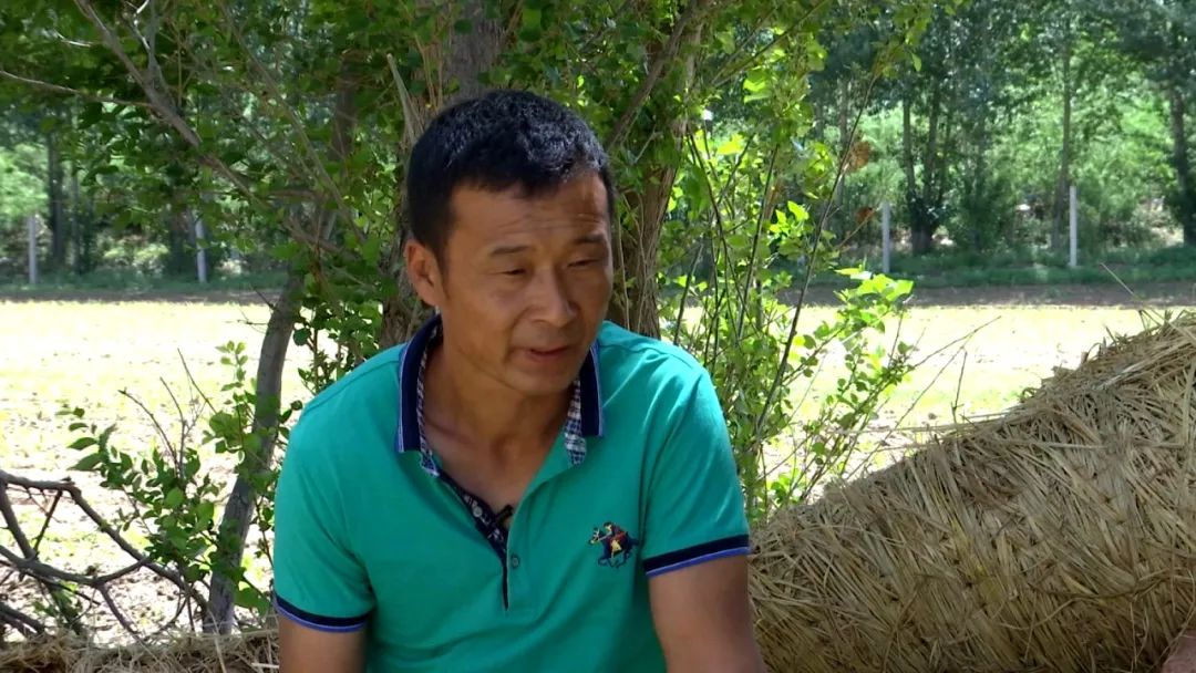 蒙古马精神脱贫,弘扬蒙古马精神