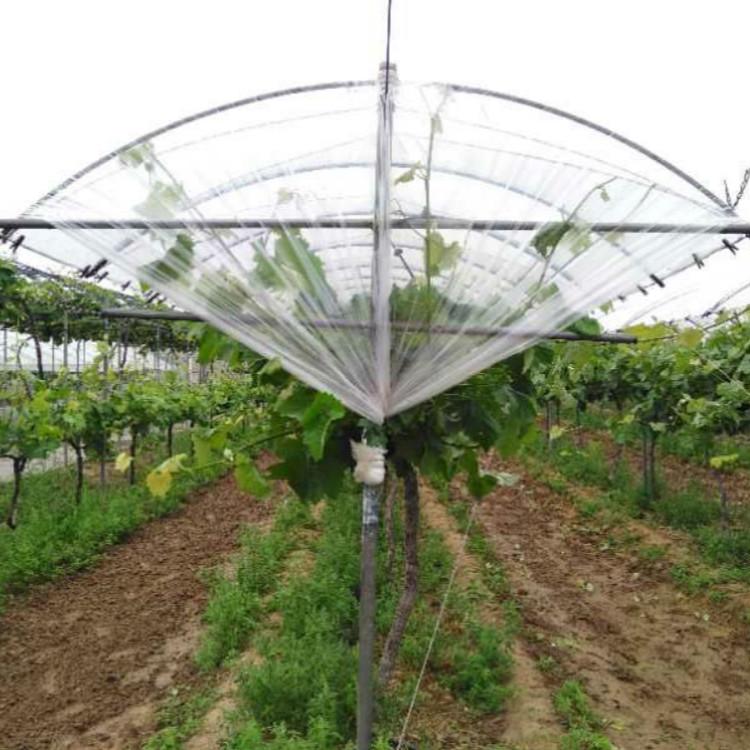 广东蓝莓钢架大棚造价多少钱一平,如何提高大棚钢架结构造价