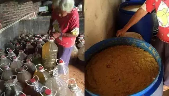 酵素肥料骗局,橙子酵素肥料