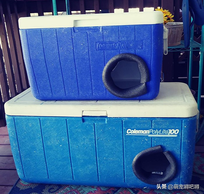 废弃的冷藏箱能做什么？美国一男子给出了答案——流浪猫庇护所