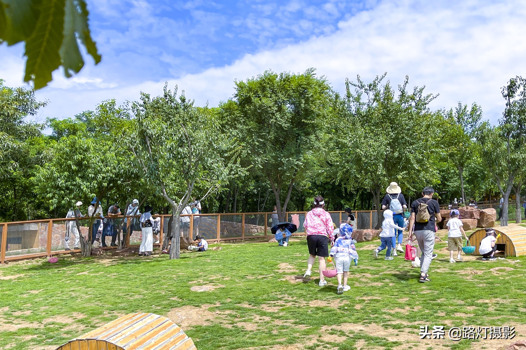 夏天最凉爽的5个避暑城市,夏天凉快又好玩的旅游景点