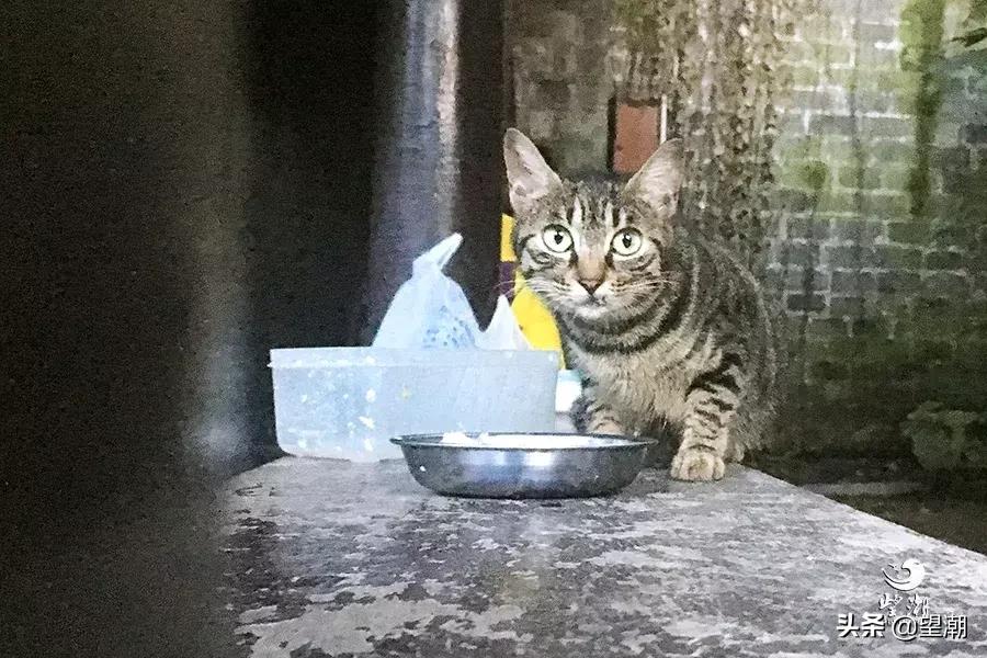 宁波镇明路,宁波第一街