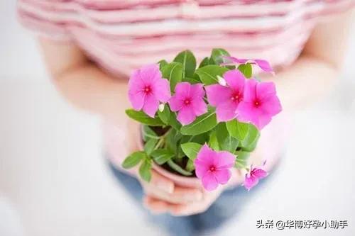 多囊卵巢症最佳的治疗办法是,什么是多囊卵巢怎样治疗