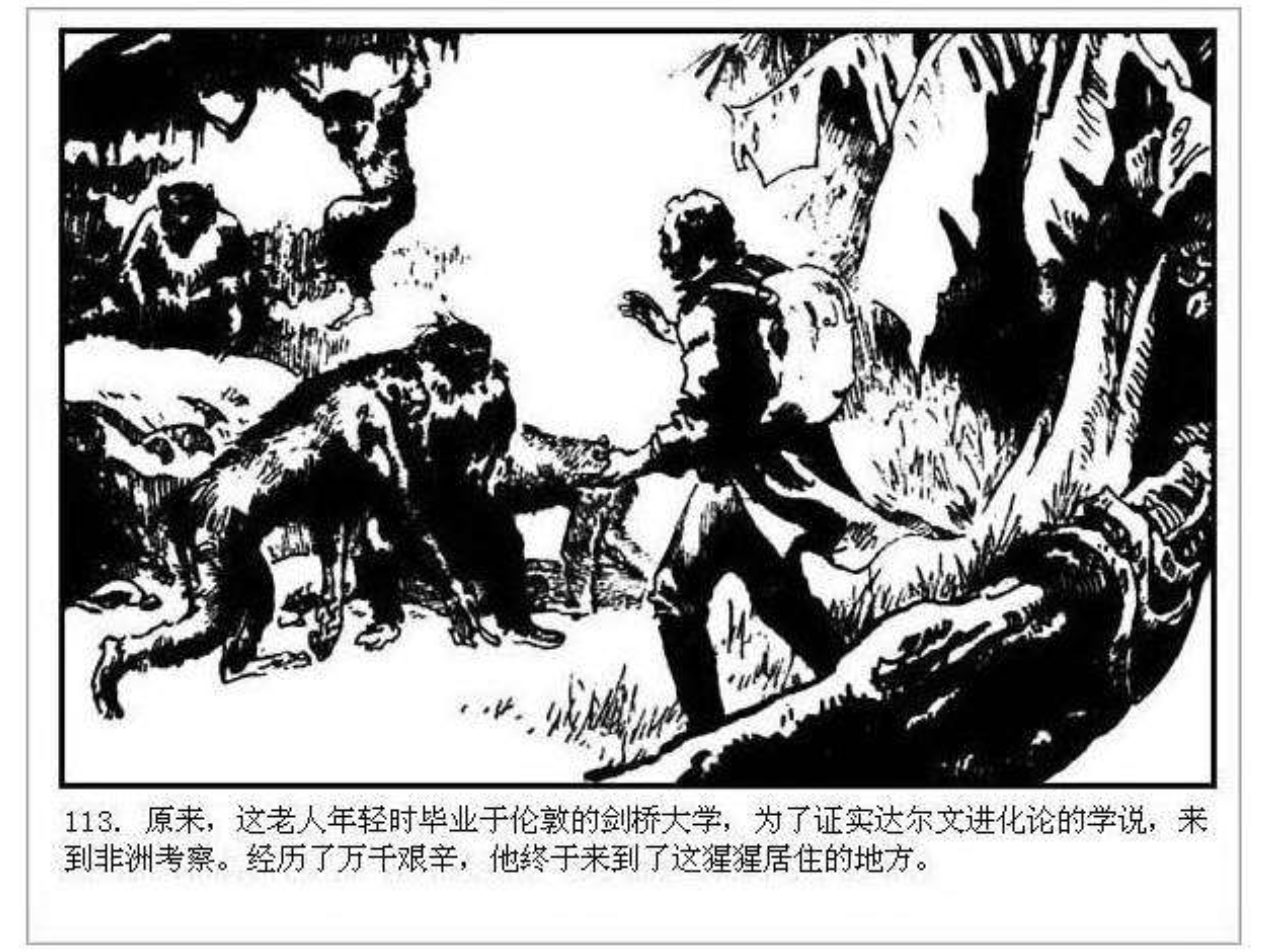 人猿泰山之英雄归来书,连环画泰山