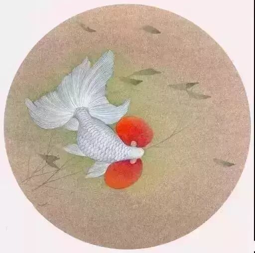 工笔金鱼线稿100例,工笔金鱼图片大全大图