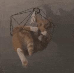 最新防割韭菜套路骗局揭秘,揭秘骗子那些割韭菜套路