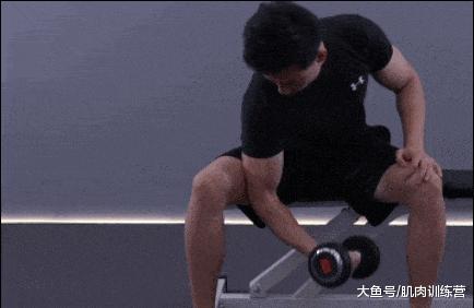 一副哑铃一个星期健身训练表,足不出户哑铃