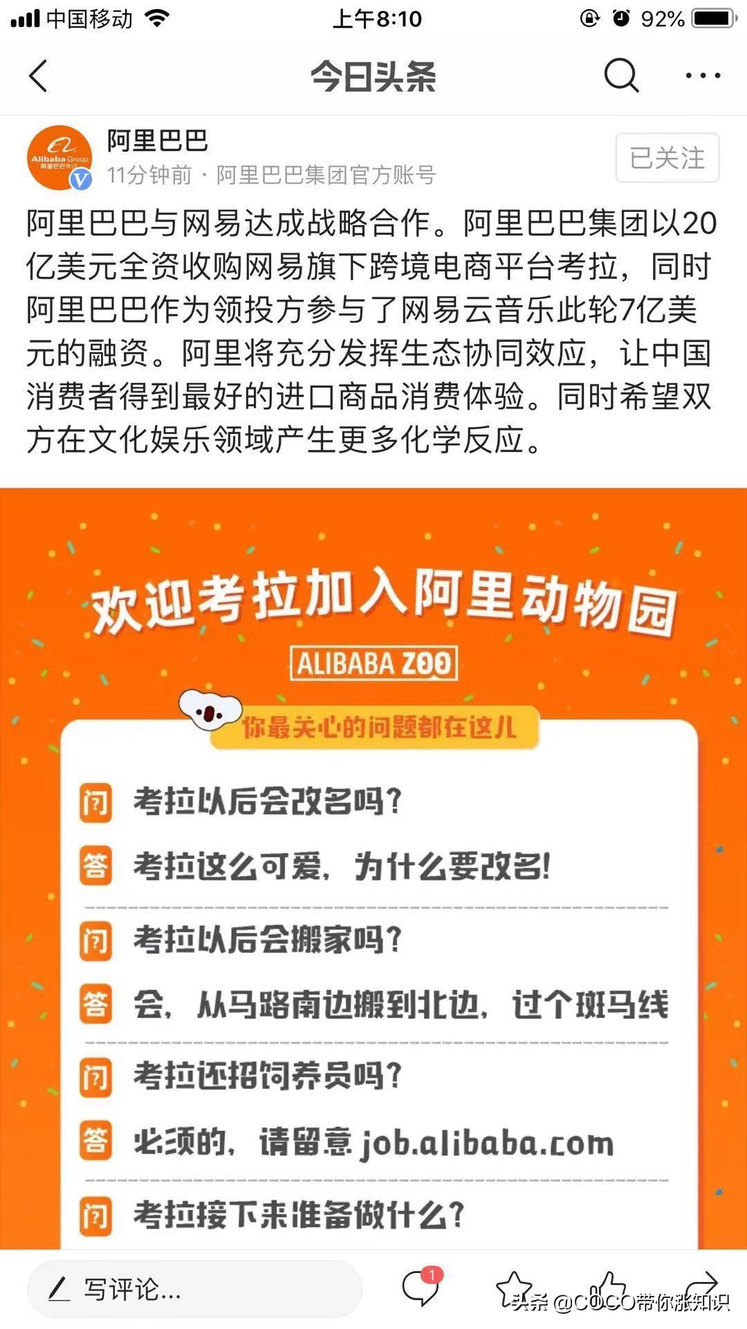9月6日官宣:网易考拉加入阿里动物园