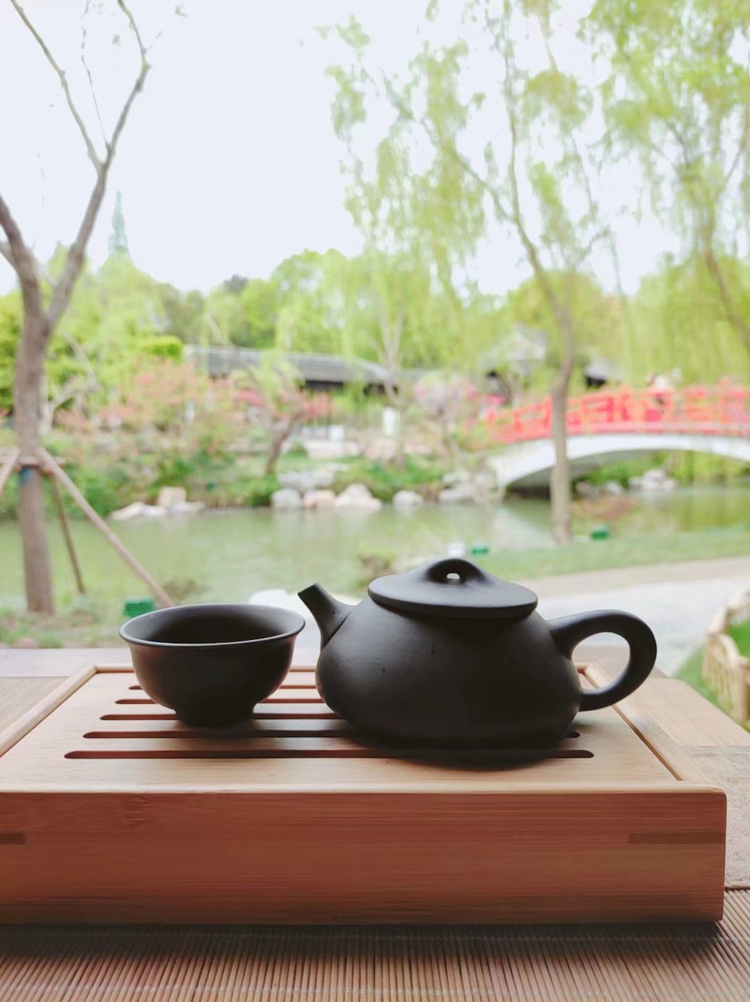 春游扬州瘦西湖,雨天游扬州瘦西湖