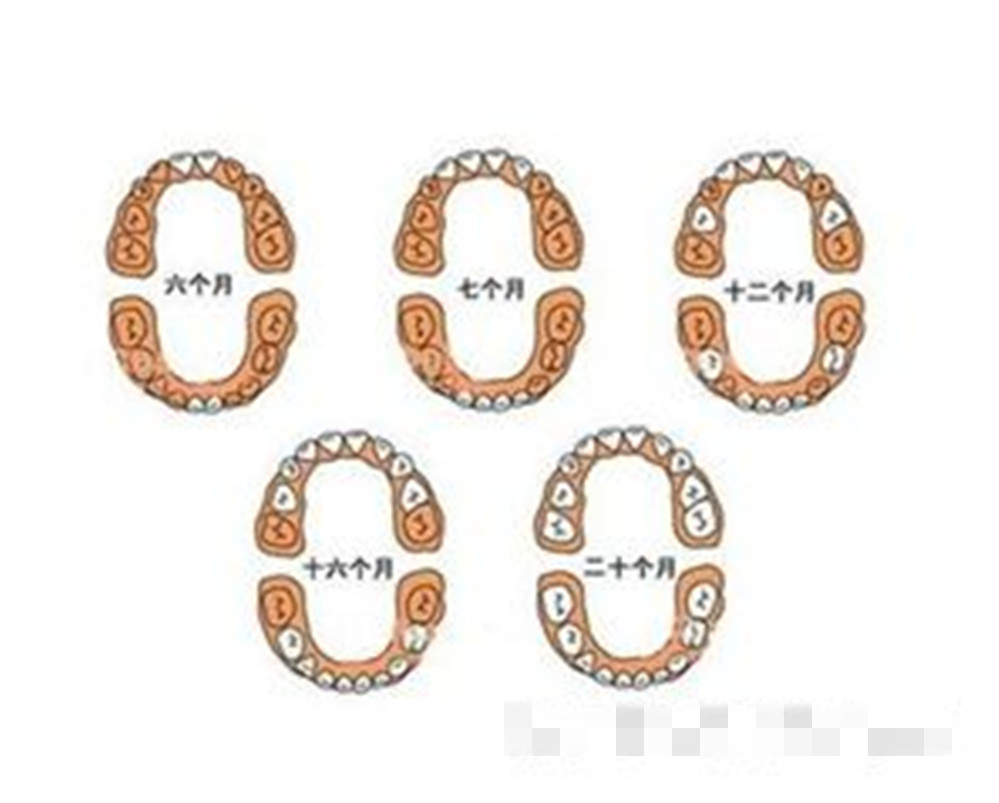 宝宝七个月没出牙是怎么回事,我家宝宝七个月还没出牙什么原因
