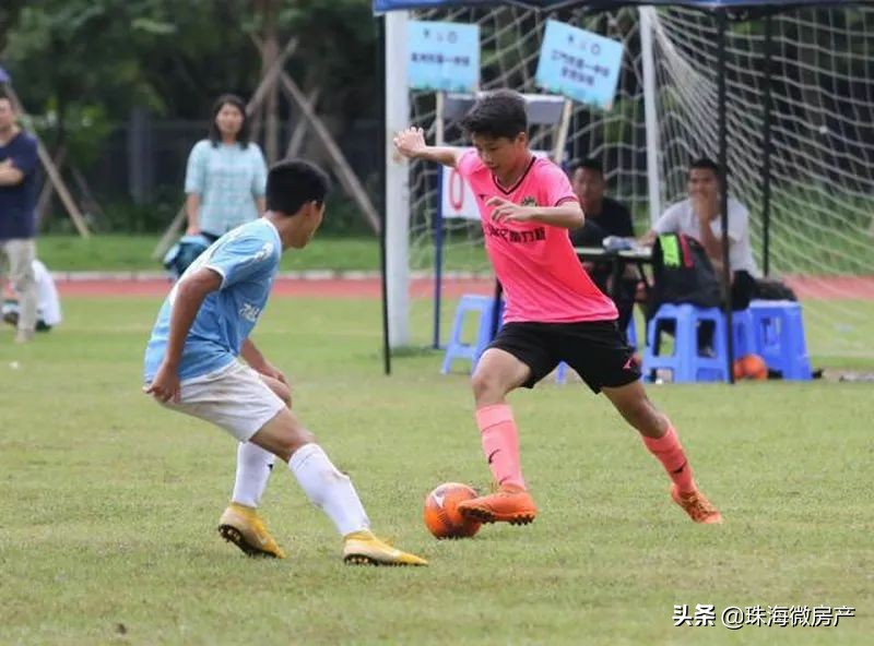 最近关于澳门开放自由行的消息,澳门单牌车可以去内地吗