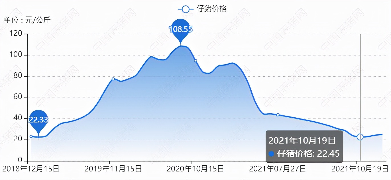 新手上路：猪肉股学习笔记|加减杂谈