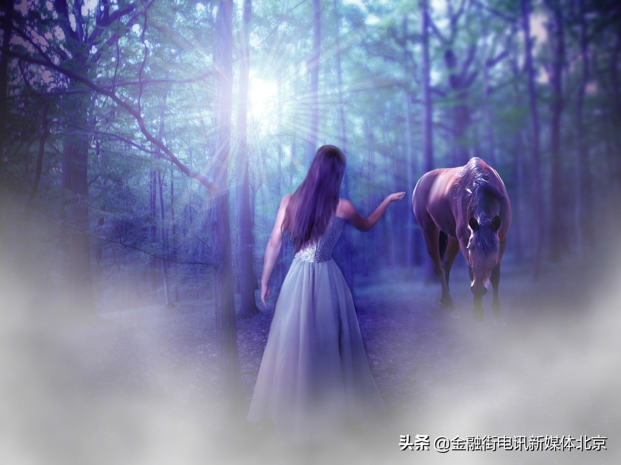 《江阳文韵》第184期“菡萏半开香池面”等组诗词赋,金榜头条