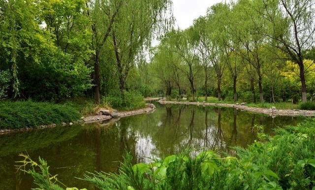 天津津北森林,天津七星岛湿地风景区