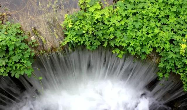 媲美四川九寨沟！山东这些地方野趣十足，承包夏天90%的清凉！