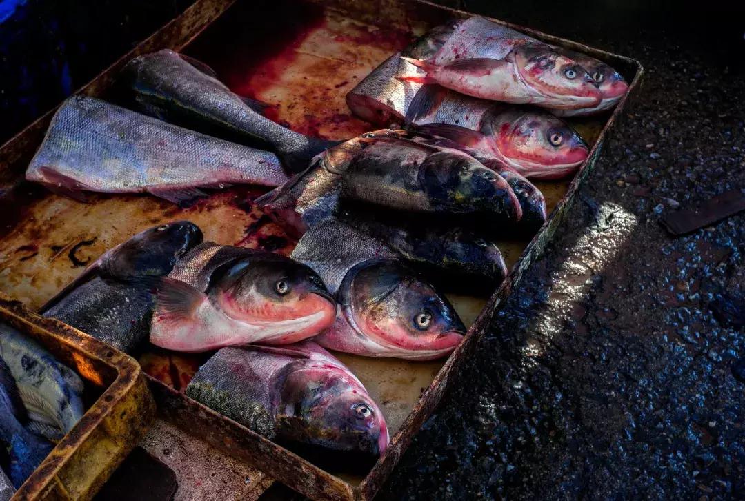 再见红利的图片,再见了股市视频