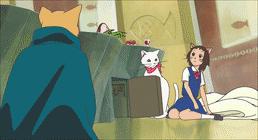 中华田园橘白猫脾气好吗,中华田园白猫配什么猫