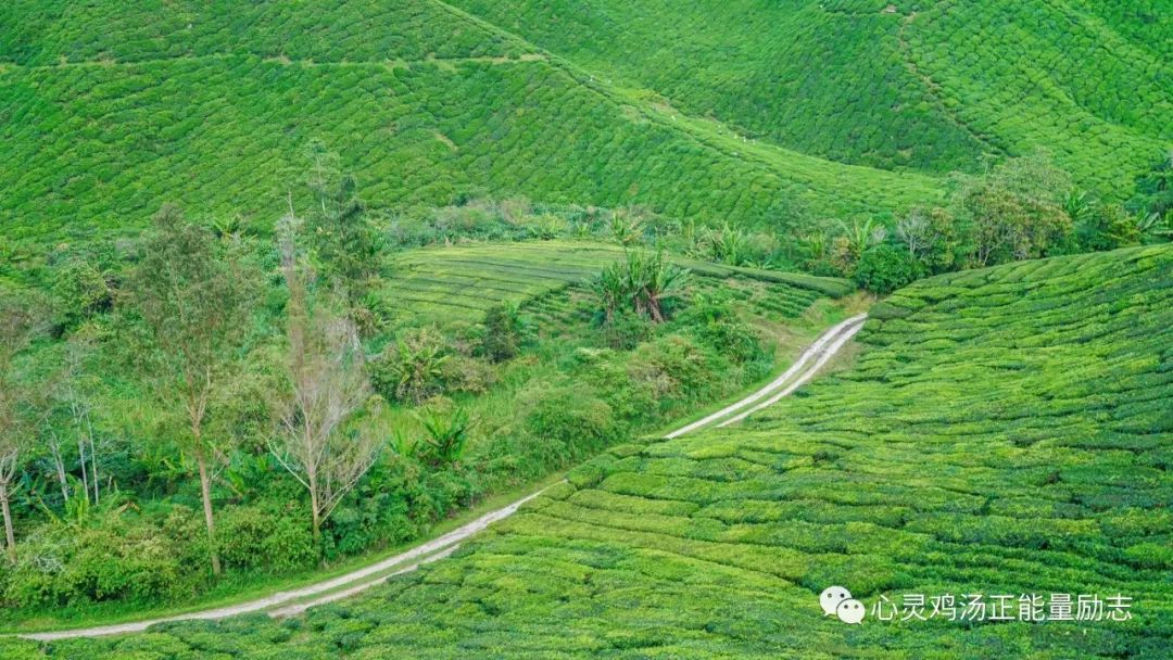 正能量语录句句心碎说的很精辟,阳光心态的正能量句子句句暖心