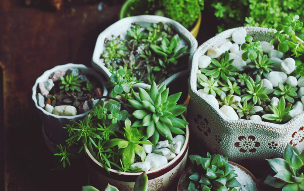 蒸馒头的水，万万不要直接倒掉，这诀窍10个人9人需要