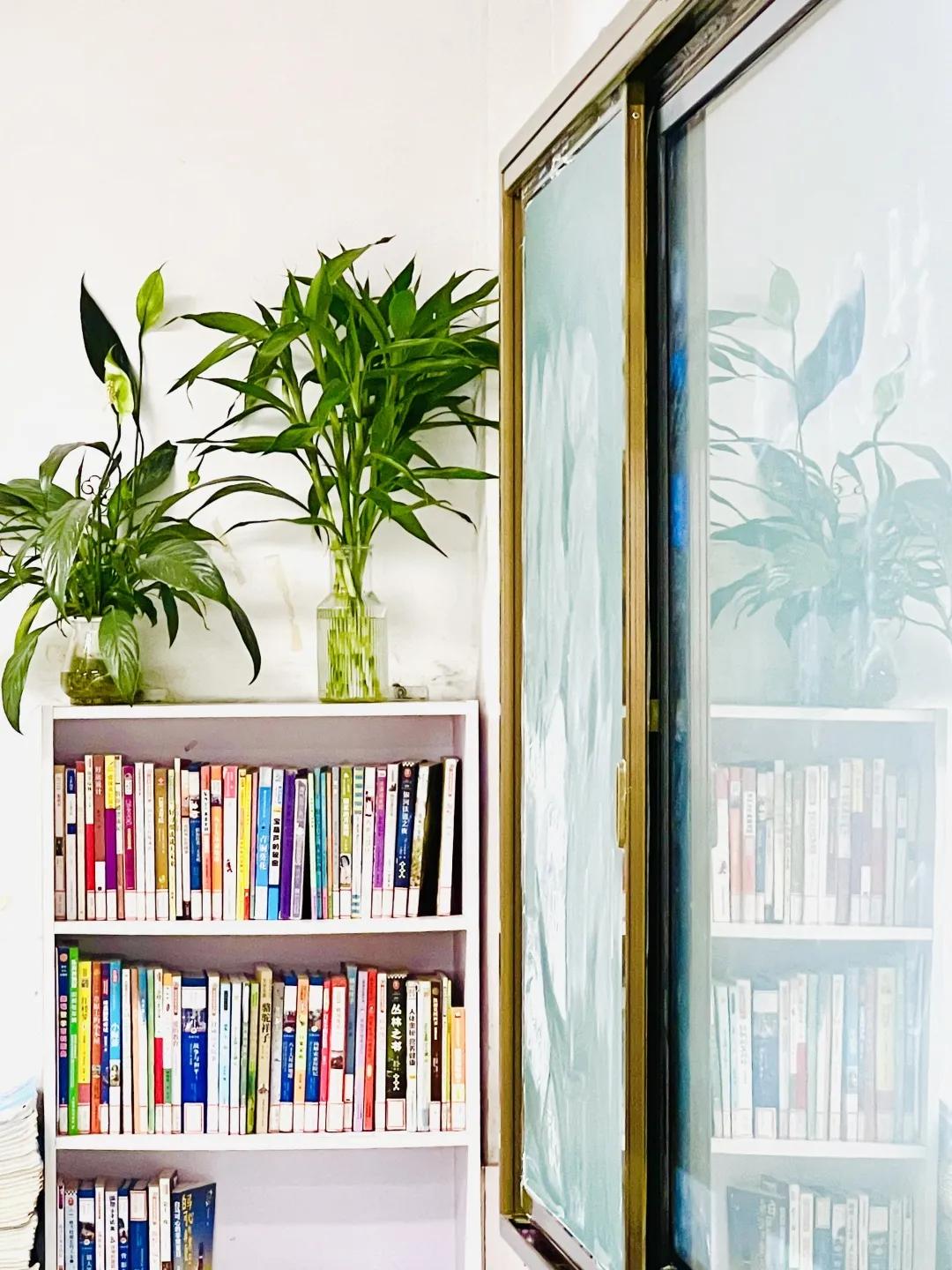 学校即将开展最美教师评选活动,我眼中的最美校园