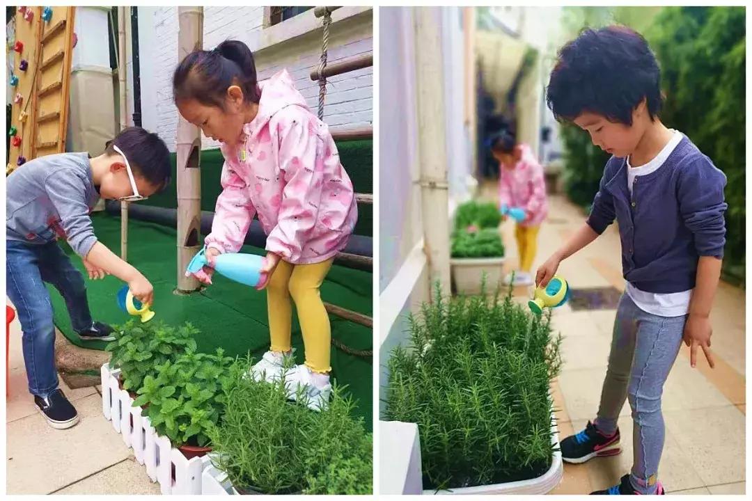 迪士尼梦幻亲子乐园幼儿园,这家幼儿园