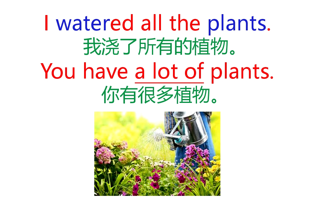 英语商务口语天天练,口语天天练英语