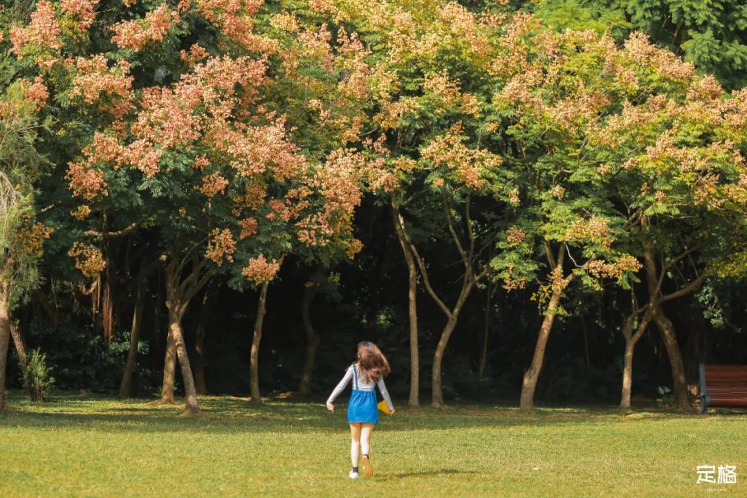 莲花山公园网红打卡地,即墨莲花山公园网红打卡地