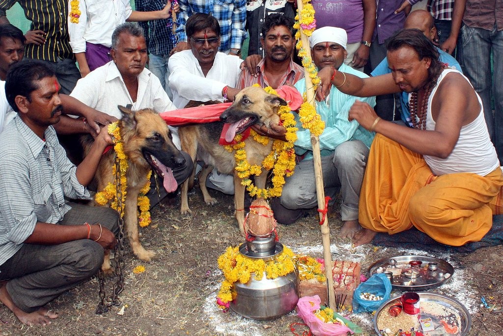 印度6名女孩赤身裸体，抬着青蛙到处*行游**祈雨，父母支持一同参与