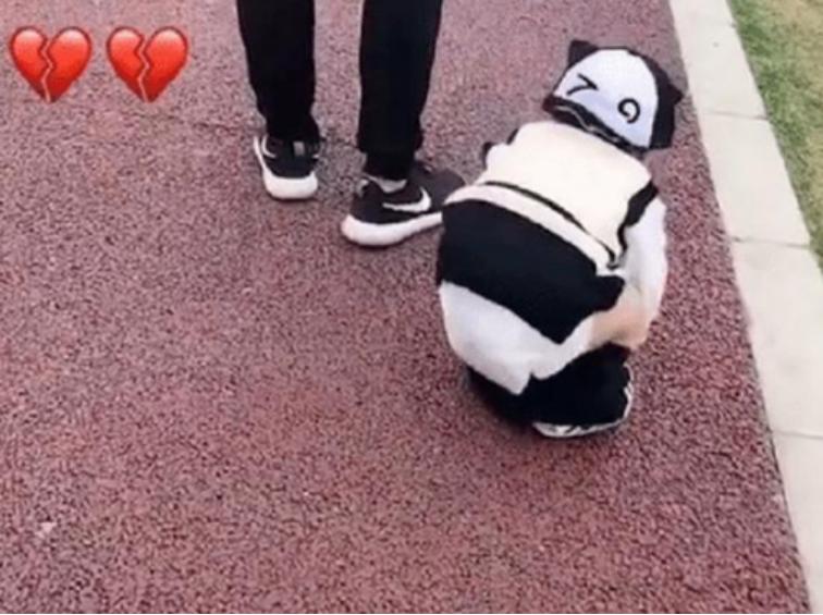 女儿送蛋糕给爸爸的祝福语,给孩子送蛋糕祝福语