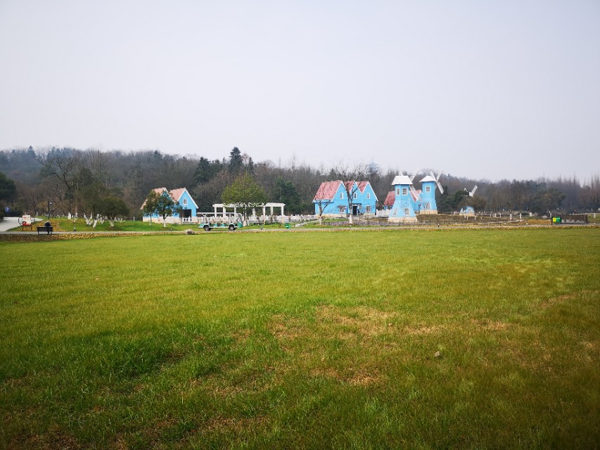 宜兴竹海游和龙背山森林公园游记